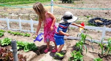 granja para niños